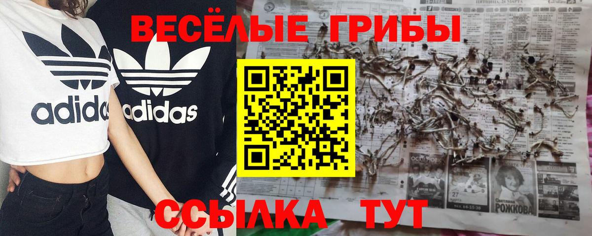 Псилоцибиновые грибы MAGIC MUSHROOMS  Вход с VPN  Галлюциногенные грибы Cubensis  Гагарин 