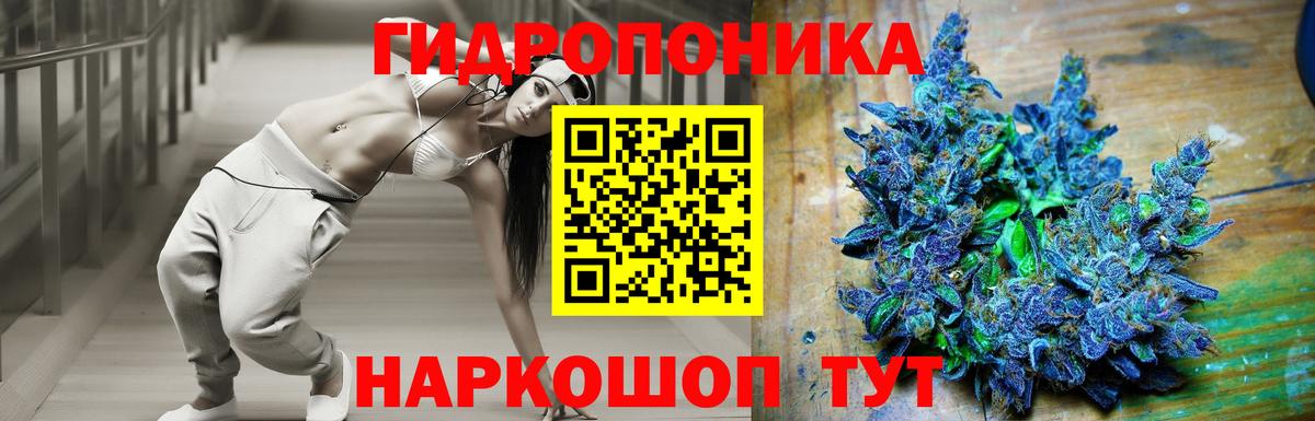 Бошки марихуана White Widow  МАРИХУАНА AK-47  Канабис индика  Канабис план  Гагарин  Вход с VPN 